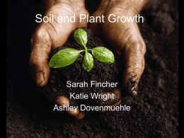 Unit Ideas for Plant Growth and Soil Study
