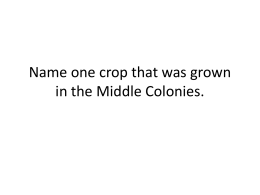 Name one crop that was grown in the Middle Colonies.