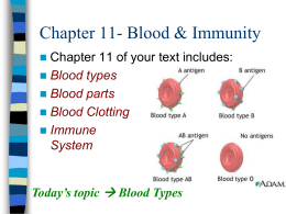 What is Blood Type?