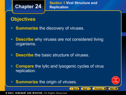 Section 1 Viral Structure and Replication Chapter 24 The