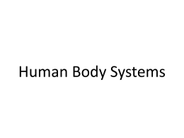 Systems - HHS Biology-Blattman