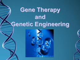 Genetic Diseases and Gene Therapy