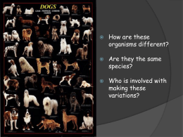 Genetic Engineering - Living Environment H: 8(A,C)