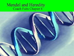 Biology Chapter 8 Mendel and Heredity