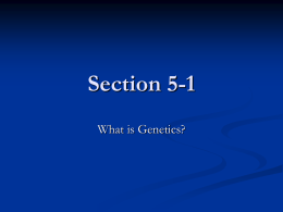Section 5-1