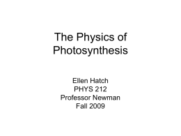 The Physics of Photosynthesis