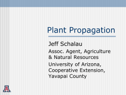 Plant Propagation - University of Arizona