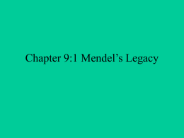 Chapter 9:1 Mendel`s Legacy