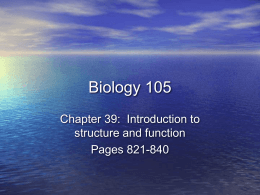 Biology 105