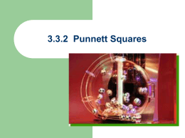 3.3.2 Punnett Squares - biology