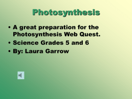 Photosynthesis - Laura J. Garrow