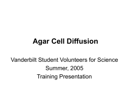 Agar Cell Diffusion