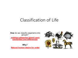 classification notes ppt