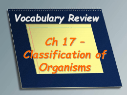 Vocabulary Review - Central Magnet School