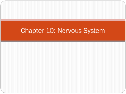 Med Term Chapter 10