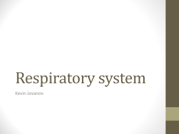 Respiratory system - Biology Concept Workshop