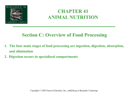 1. The four main stages of food processing are ingestion, digestion