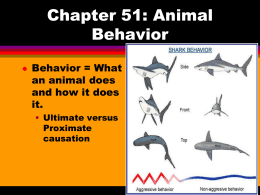 Chapter 22: Animal Behavior