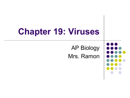 Chapter 19: Viruses