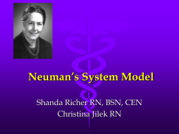 Neuman`s System Model - NsgtheorypresentationSP10
