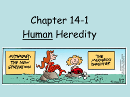 Ch 14-1 Notes: Human Heredity