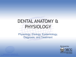 Dental Anatomy and Physiology (2009)