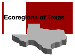 12_S070402I_Ecoregions of Texas
