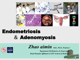 Endometriosis ＆ Adenomyosis