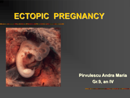 ectopic pregnancy - andrapirvulescu13