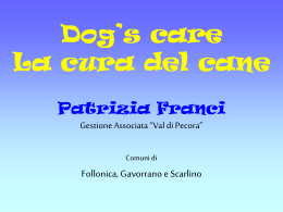 Dog`s care – La cura del cane