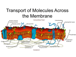 Transport of Molecules Across the Membrane