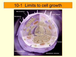 Limits to cell growth - Sonoma Valley High School