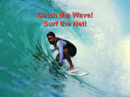 Catch the Wave! Surf the Net!