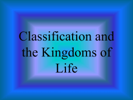 Classification and the Kingdoms of Life