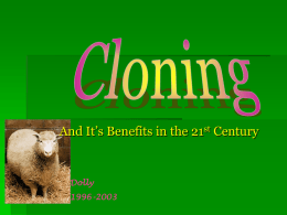 Reproductive Cloning