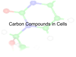 Carbon Compounds in Cells