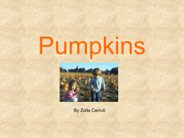 Pumpkins - aisdprekshare