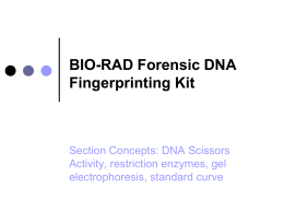 BIO-RAD Lambda DNA Kit, AP Bio Lab 6B, and BIO