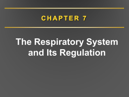 Chapter 7. Respiratory System and Regulation