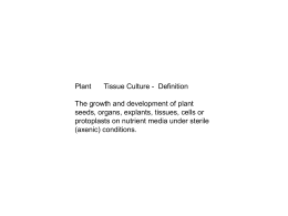 Secondary metabolites from plant cell cultures
