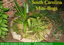 South Carolina Mini-Bogs