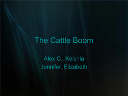 The Cattle Boom