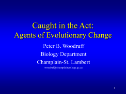 Caught in the Act: Agents of Evolutionary Change