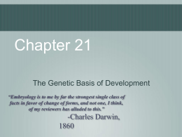 Stem Cells and Cell Differentiation (Chapter 21)
