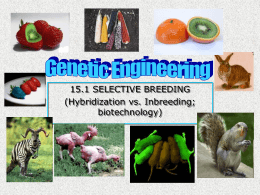 genetic engineering - OG
