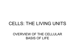 OVERVIEW OF THE CELLULAR BASIS OF LIFE