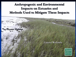 Anthropogenic and Environmental Impacts on Estuaries and