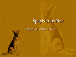 PowerPoint - Targeted Spay-Neuter