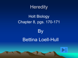 Heredity - bettinahull2