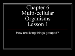 Chapter 6 Multi-cellular Organisms Lesson 1